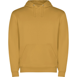 Pánská mikina Capucha