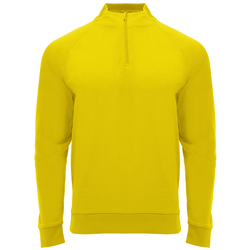 Pánská sportovní mikina Epiro