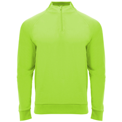 Pánská sportovní mikina Epiro