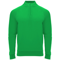 Pánská sportovní mikina Epiro